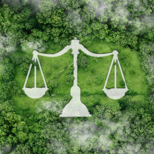 Klimaatrechtvaardigheid | Rechten van de Natuur | Speakers for Good | Sprekers en Dagvoorzitters