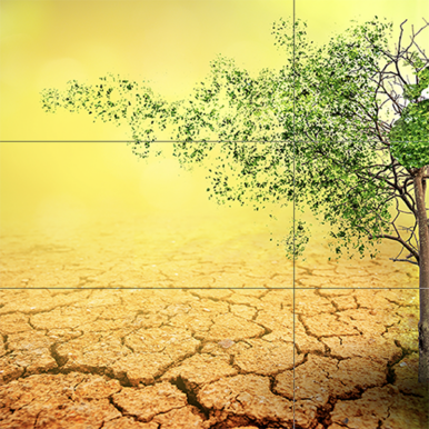 Spreker - Transities - toekomst - Speakers for the World