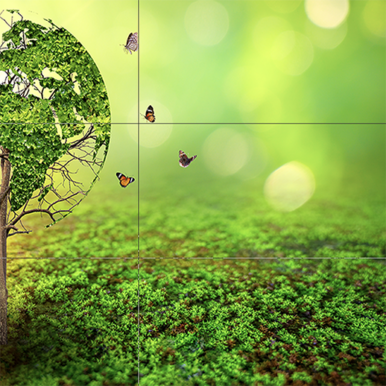 Spreker - Transities - toekomst - Speakers for the World