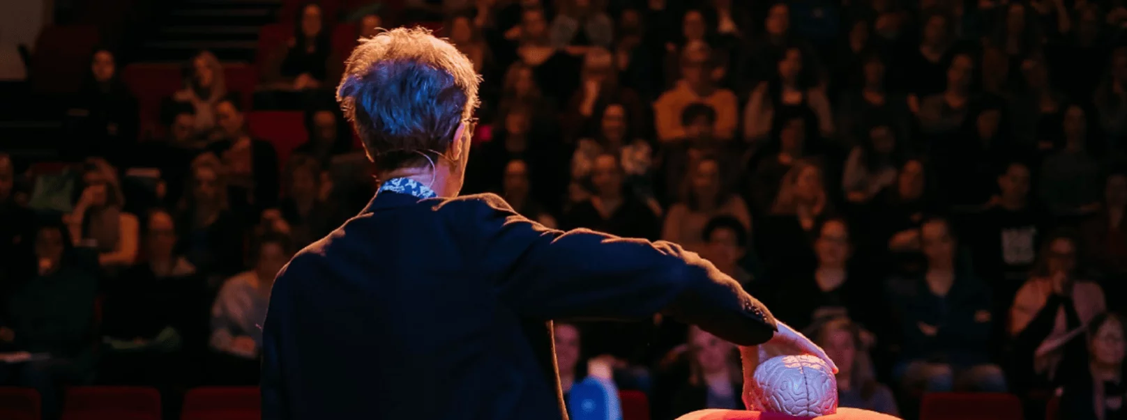 Mark Mieras - Banner